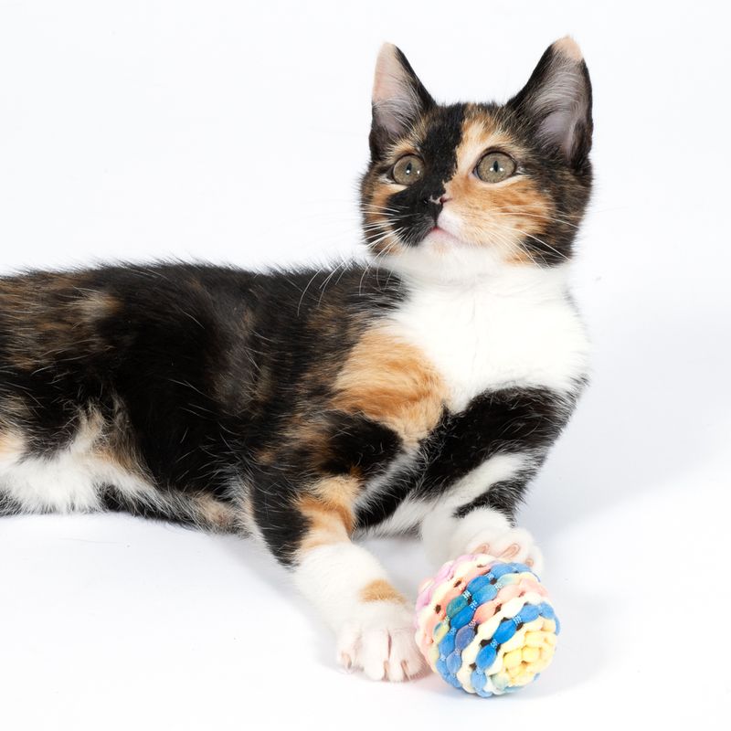 TIAKI Rainbow Rattle Ball Set Set of 2