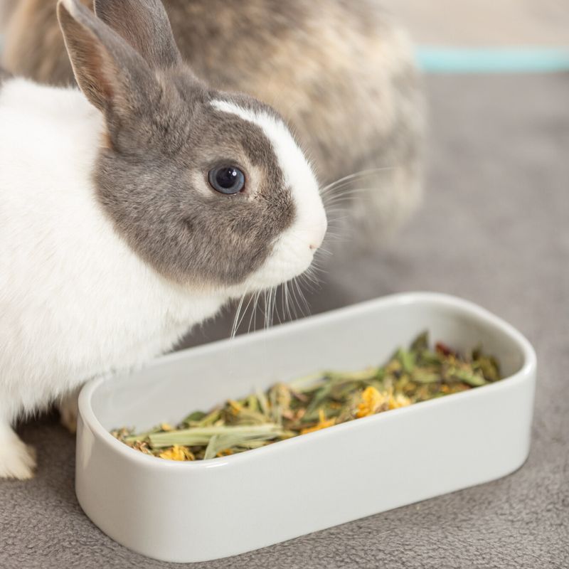 Trixie Ceramic Bowl for Small Animals - Oval 600ml