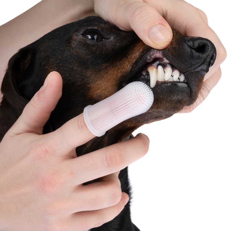 kooa Silicone Dental Care Finger 5cm (L), 1 finger