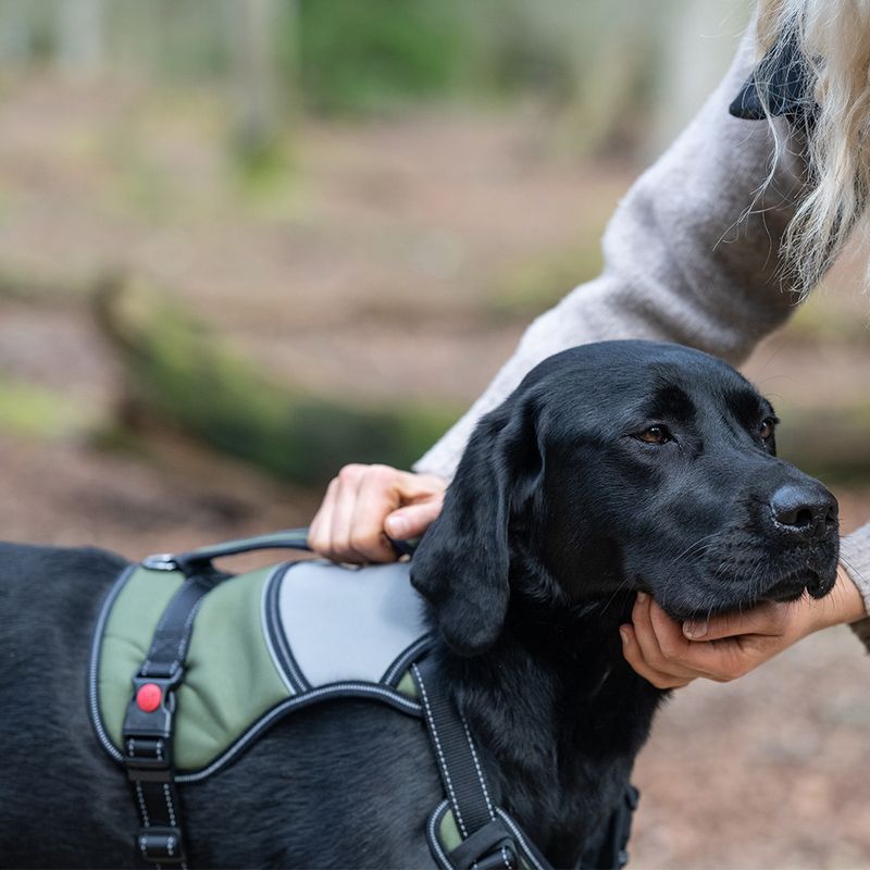 Rukka® Mission Harness – Olive Size L: 70 - 80cm chest circumference, W 25mm