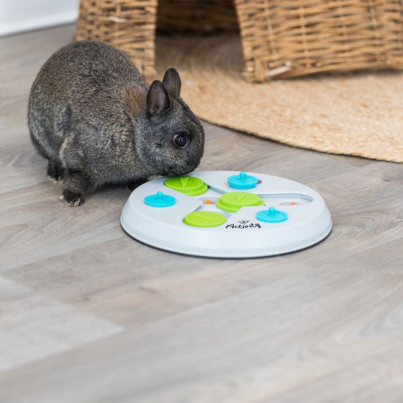 Trixie Slide & Fun Puzzle Toy 23 x 4cm (diameter x H)