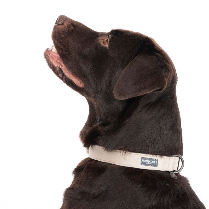 Nomad Tales Blush Necklace, taupe Size XS: 24 - 36 cm neck circumference, W 10 mm