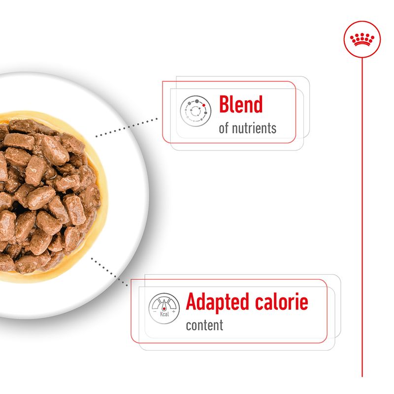 Royal Canin Mini Ageing in Gravy 12 x 85g