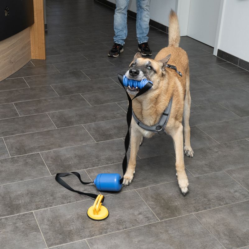 Nomad Tales Spirit Tug-of-War Game with Snack Dispenser 1 Toy