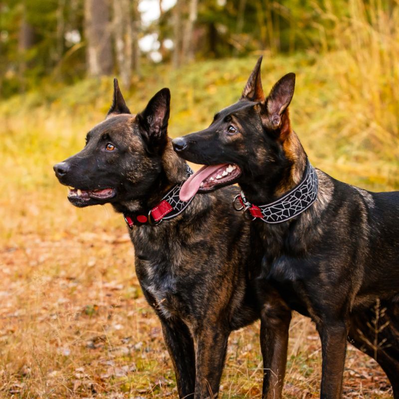 Rukka® Cube Soft collar, red / black Size S: 30-40 cm neck circumference, W 20 mm