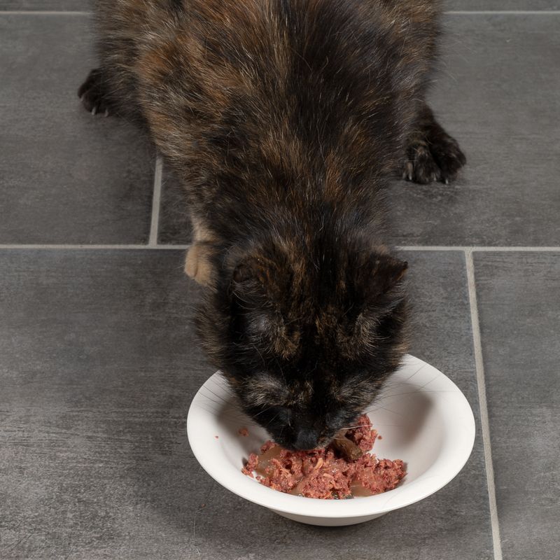 TIAKI Bamboo Bowl for Cats 300ml