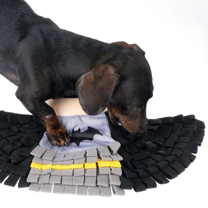 DC Batman Sniffer Mat 50 x 35 cm (W x H)