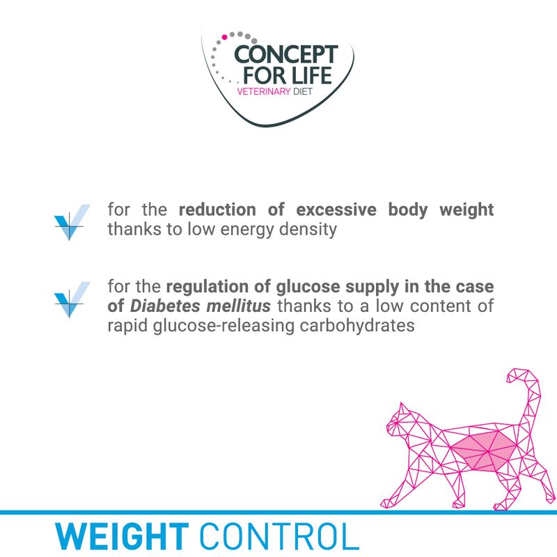 Concept for Life Veterinary Diet Saver Pack 24 x 185g/200g Hypoallergenic Salmon (24 x 185g)