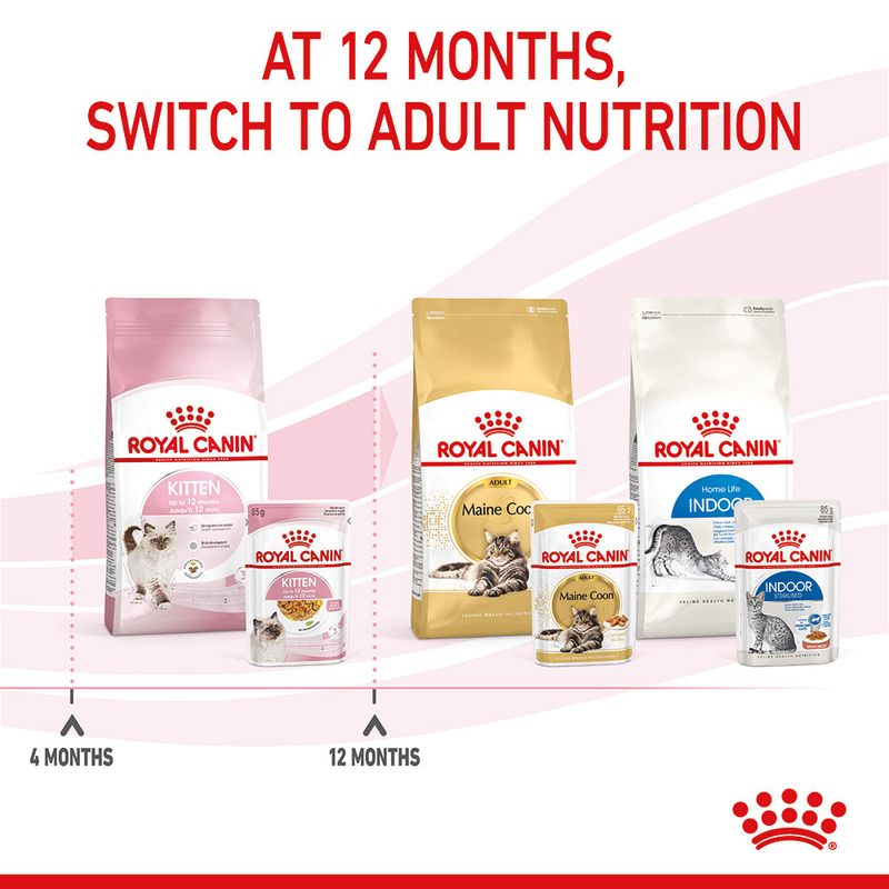 Royal Canin Kitten in Jelly 12 x 85g