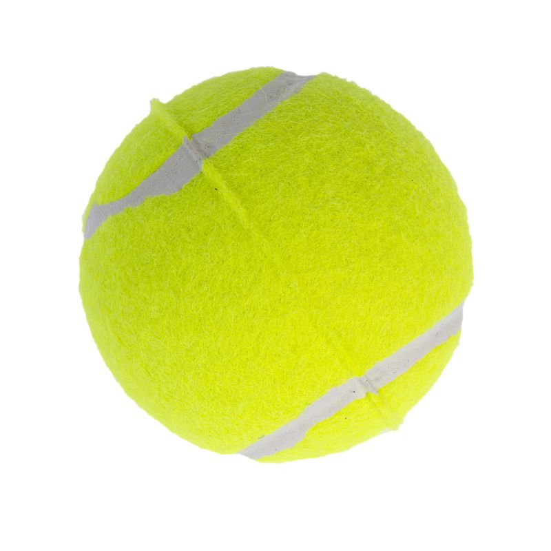 zooplus Basics Tennis Ball Set Set of 8