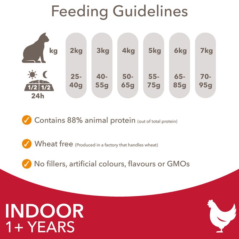 IAMS Advanced Nutrition Indoor Cat with Chicken 10kg