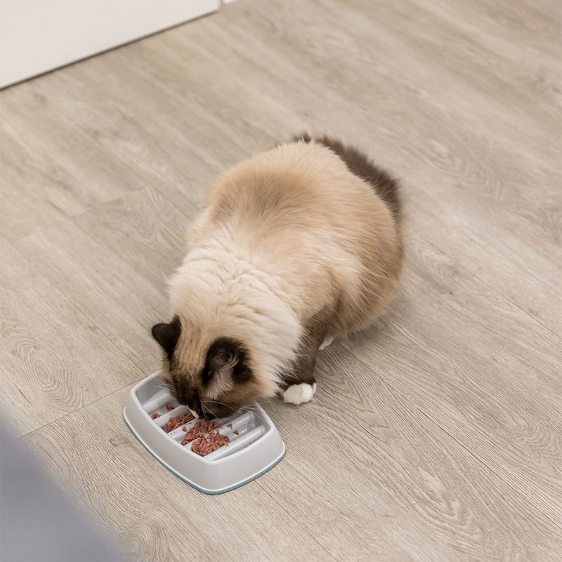 Trixie Slow Feeding Bowl 250 ml