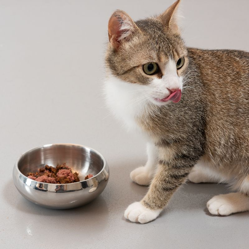 Modern Living Lhasa Double-walled Premium Bowl 1.2 Litres (diameter 19.3cm)