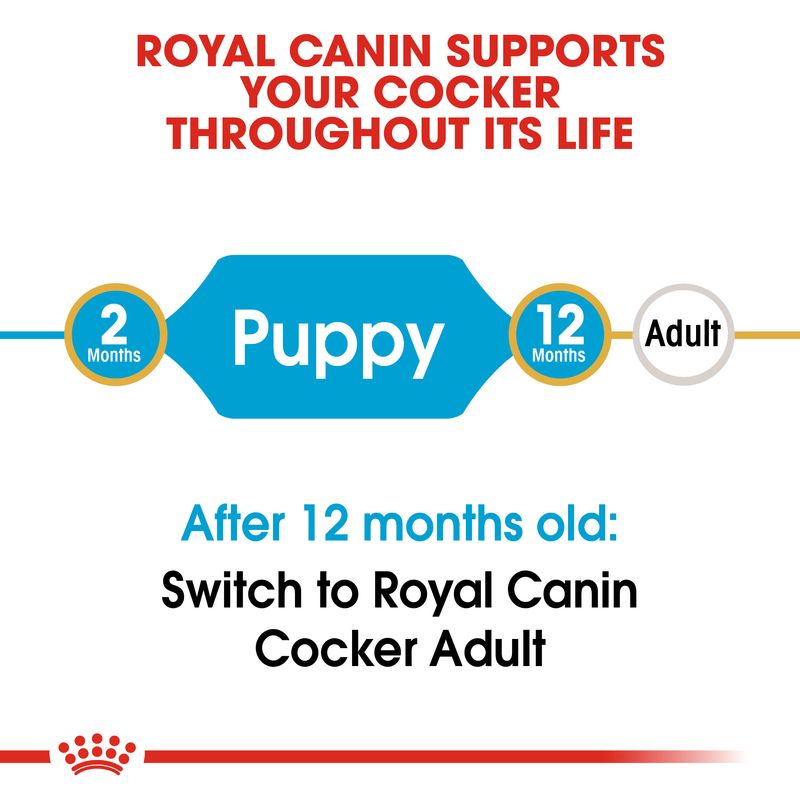 Royal Canin Cocker Spaniel Puppy 3kg