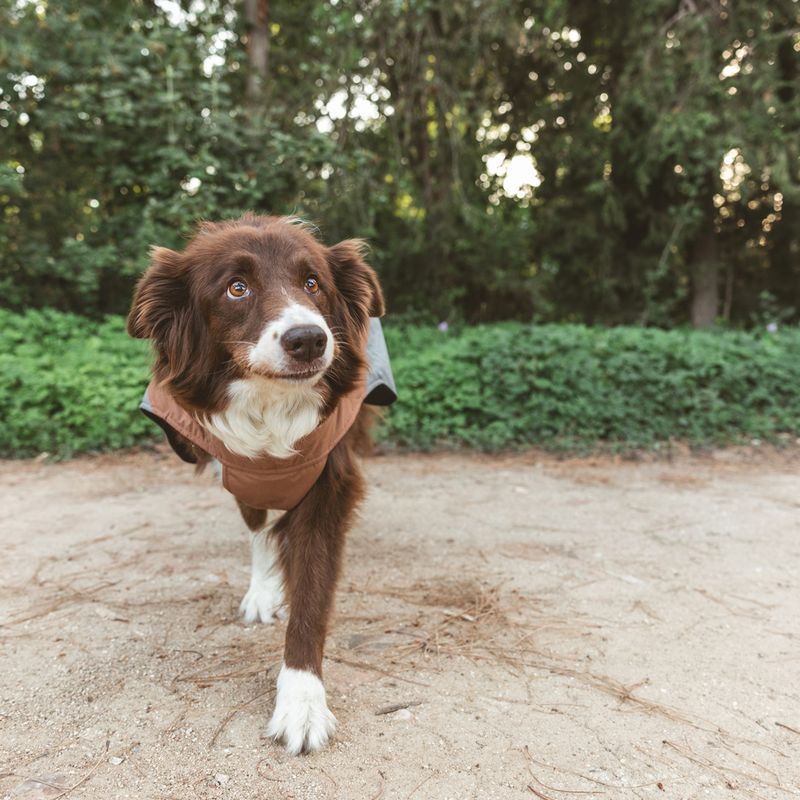 Nomad Tales Bloom Dog Coat - Warm Taupe approx. 30cm (Back Length)