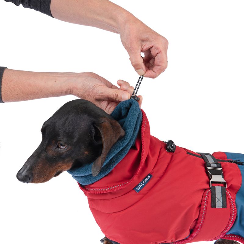 Nomad Tales Bloom Dog Coat - Sunset approx. 35cm Back Length