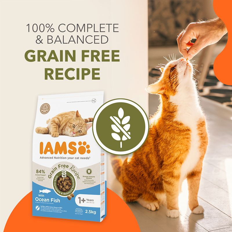 IAMS Advanced Nutrition Grain-Free with Ocean Fish 2.5kg