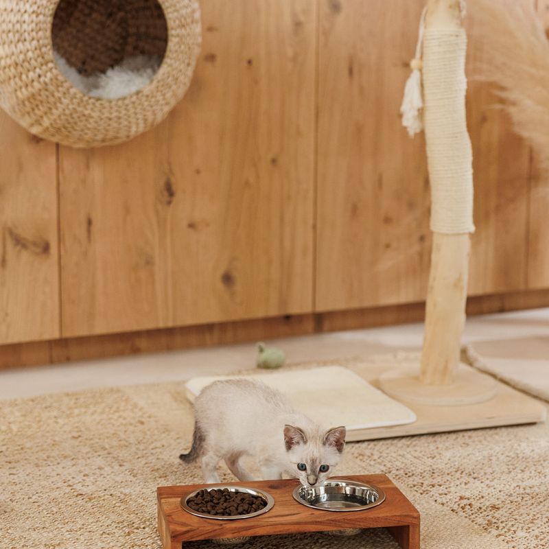 Modern Living Luxor Wall-Mounted Cat Bed 45 x 25 x 45cm (L x W x H)