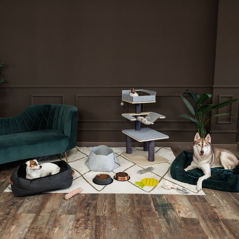 Modern Living Maipu Food Bowl 200ml (15.5cm diameter)