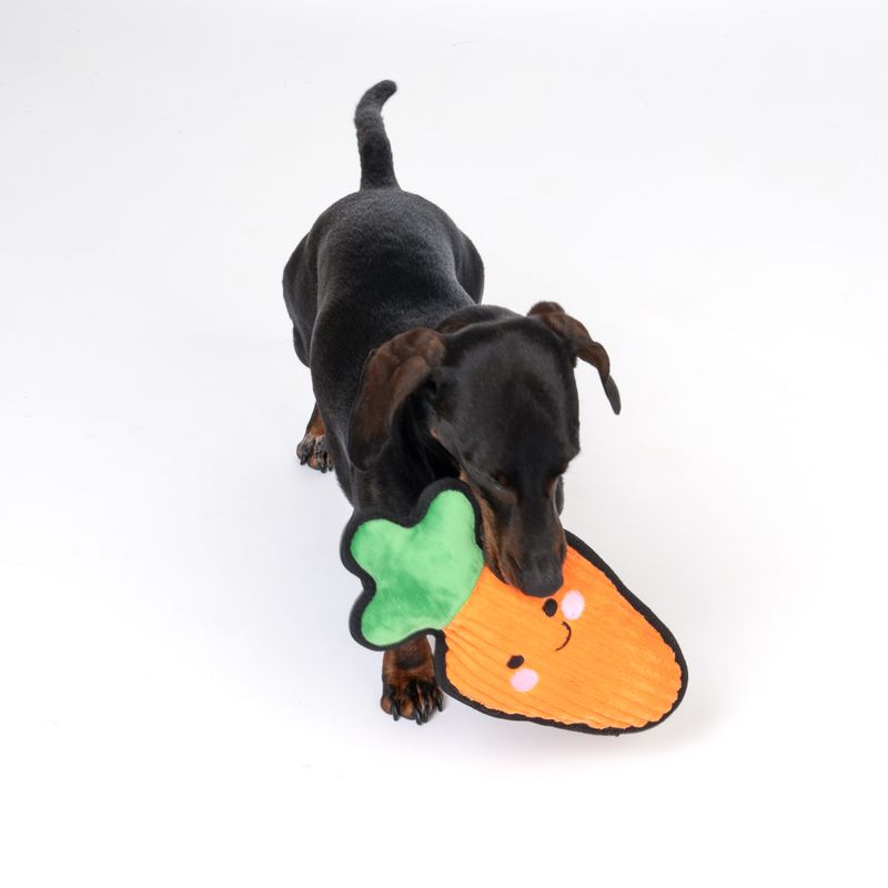 TIAKI Happy Carrot Tough Dog Toy 29 x 14 x 6.5cm (L x W x H)
