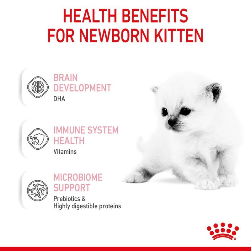 Royal Canin Babycat Milk 300g