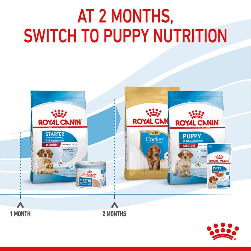 Royal Canin Medium Starter Mother & Babydog 4kg