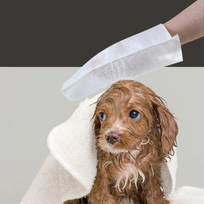 Smartpet Scrubby Vet Wash Gloves 5 Gloves