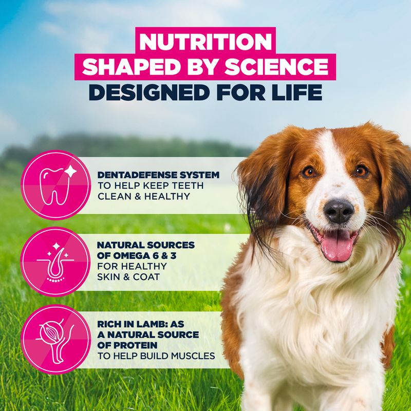 Eukanuba Premium Nutrition Adult Small & Medium Breed Lamb & Rice 3kg