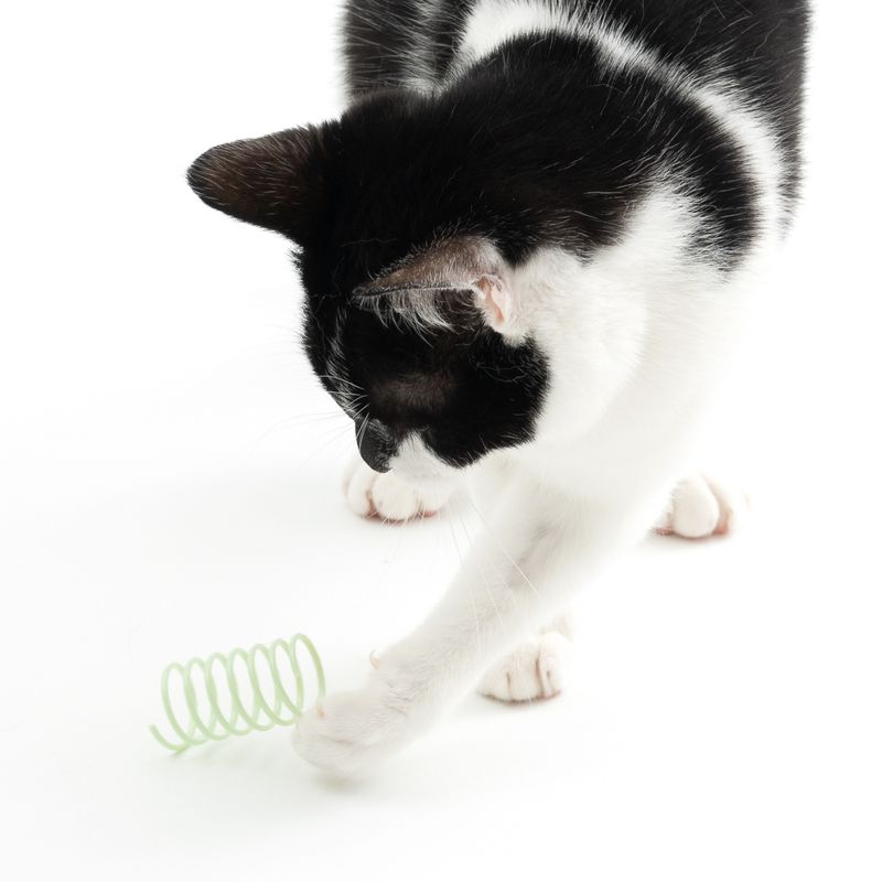 TIAKI Spiral Set Set of 4