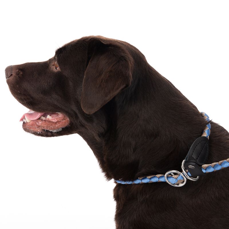 TIAKI Retriever Leash Twist 170 cm long, diameter 12 mm - green/brown