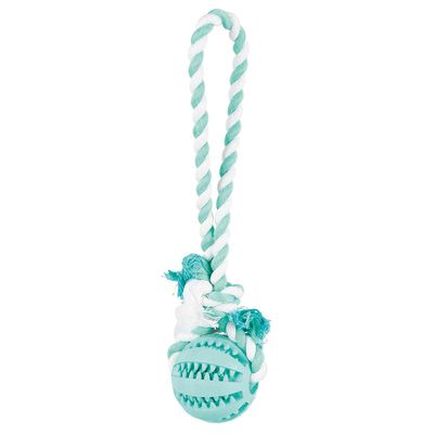 Trixie Denta Fun Play Rope with Ball diameter 7 x (L) 24 cm