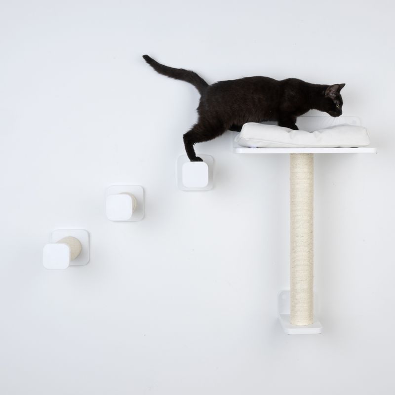 Modern Living Starter Set San Francisco Black (4-Part Set)