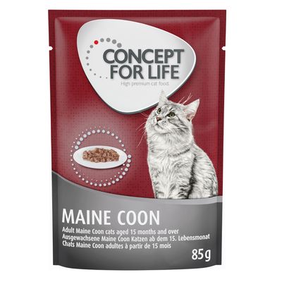 Concept for Life Maine Coon Adult - in Ragout 12 x 85g