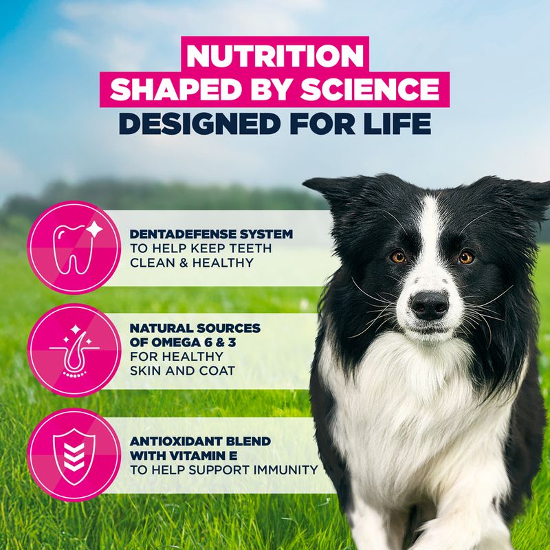 Eukanuba Premium Nutrition Adult Medium Breed Chicken 3kg