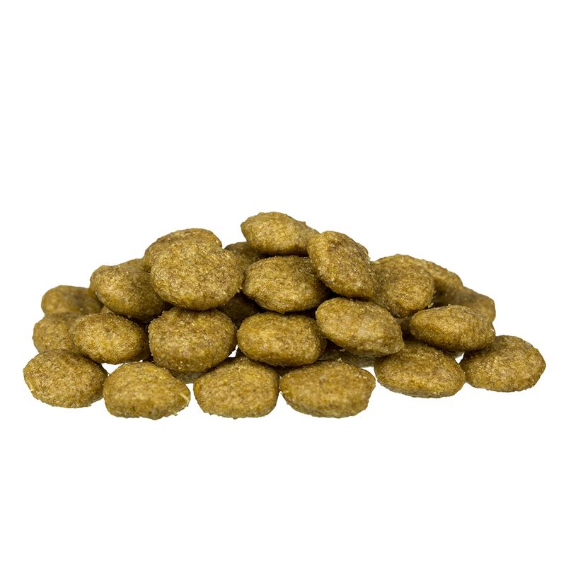 bosch Special Light Dry Dog Food 12.5kg