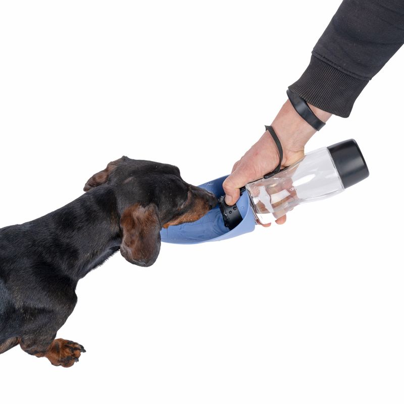 Nomad Tales Spirit 2-in-1-Travel Bottle 500ml