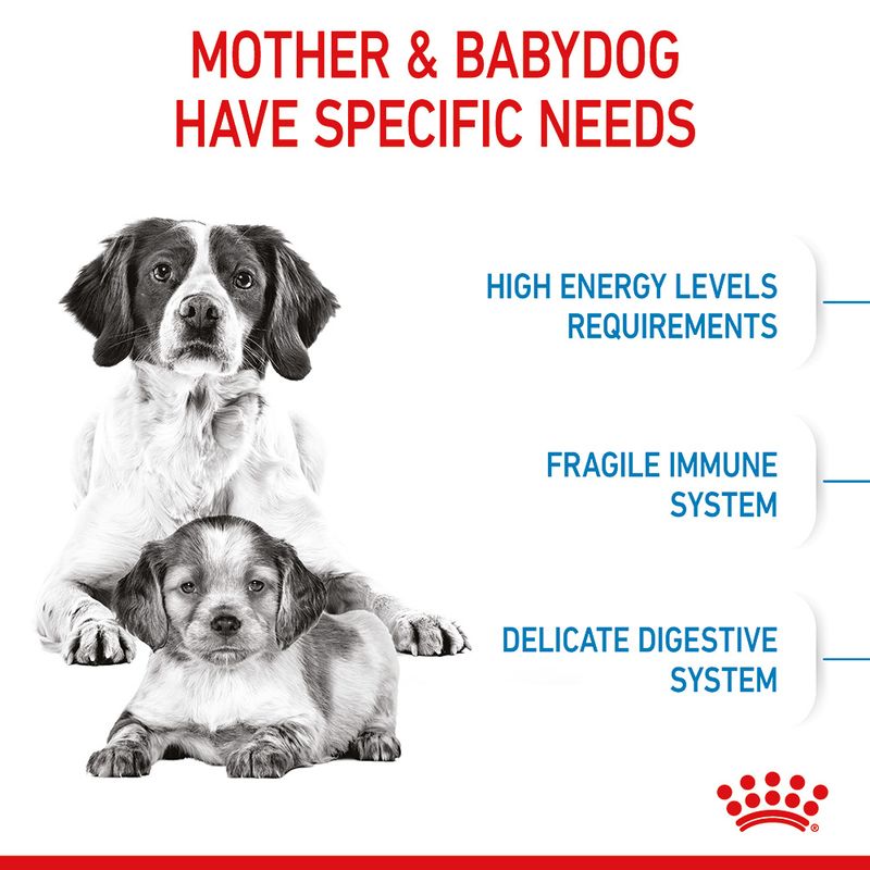 Royal Canin Medium Starter Mother & Babydog 4kg