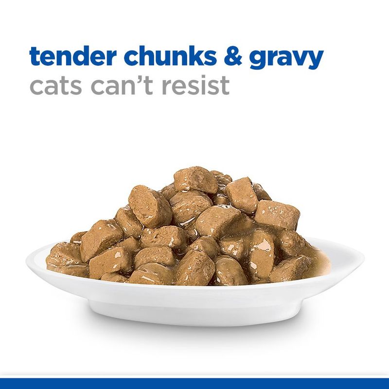 Hill's Science Plan Adult Sensitive Stomach & Skin Turkey (12 x 85g)