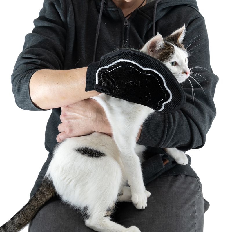 kooa Double-sided Grooming Glove 1 Glove