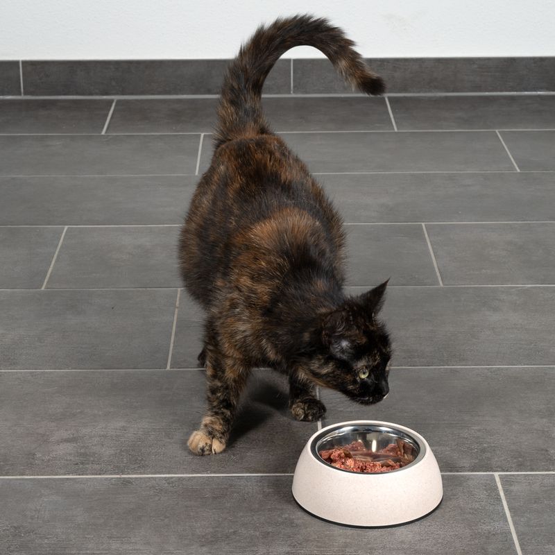 Modern Living Organic Sichuan Cat Bowl 400ml