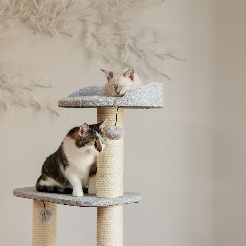 Modern Living Oxford Scratching Tree Light-grey