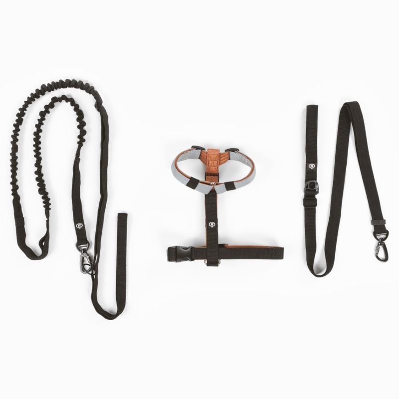 Nomad Tales Spirit Multi-Ring Harness Size S: approx. 40 - 58 cm Chest Circumference