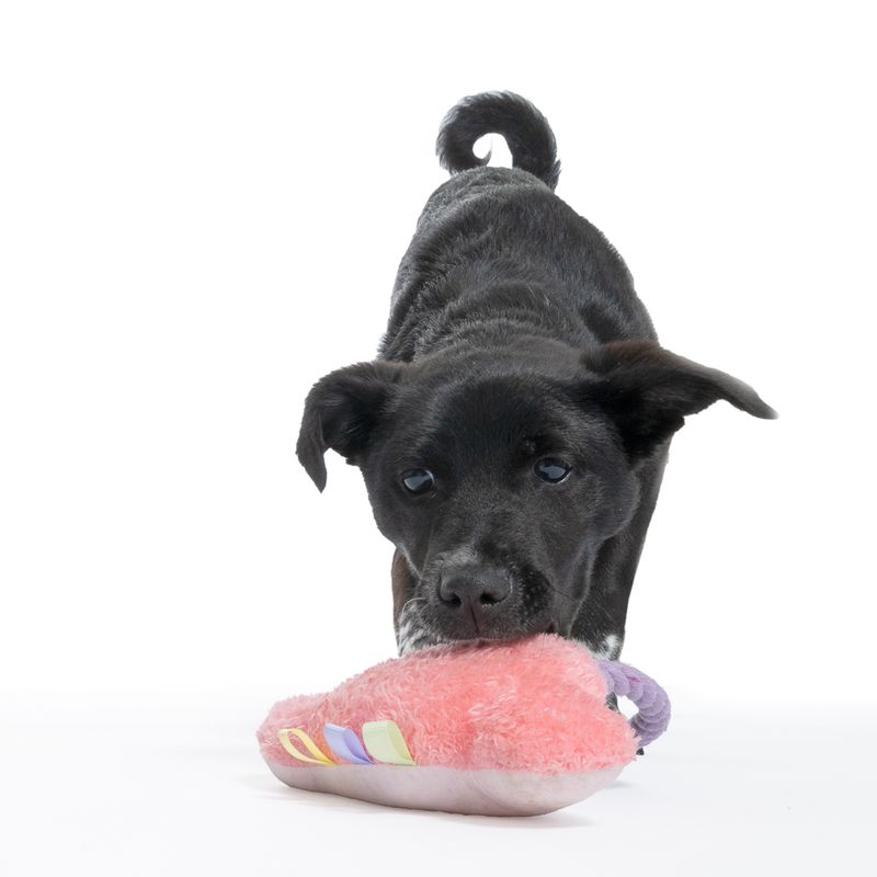 TIAKI Cloud Plush Toy with Rope 1 Toy