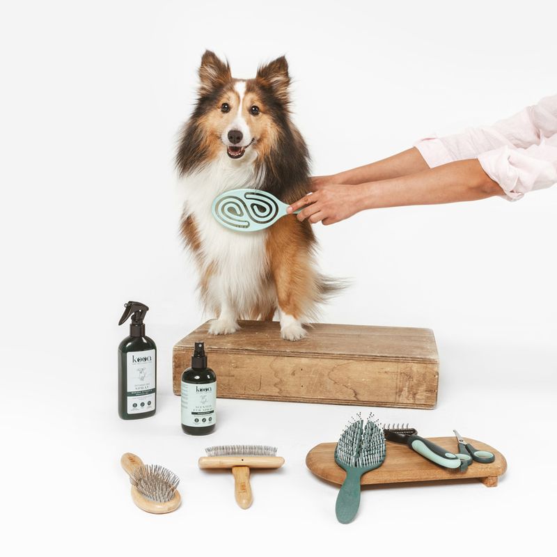 kooa Bathing Brush for Dogs 1 Brush