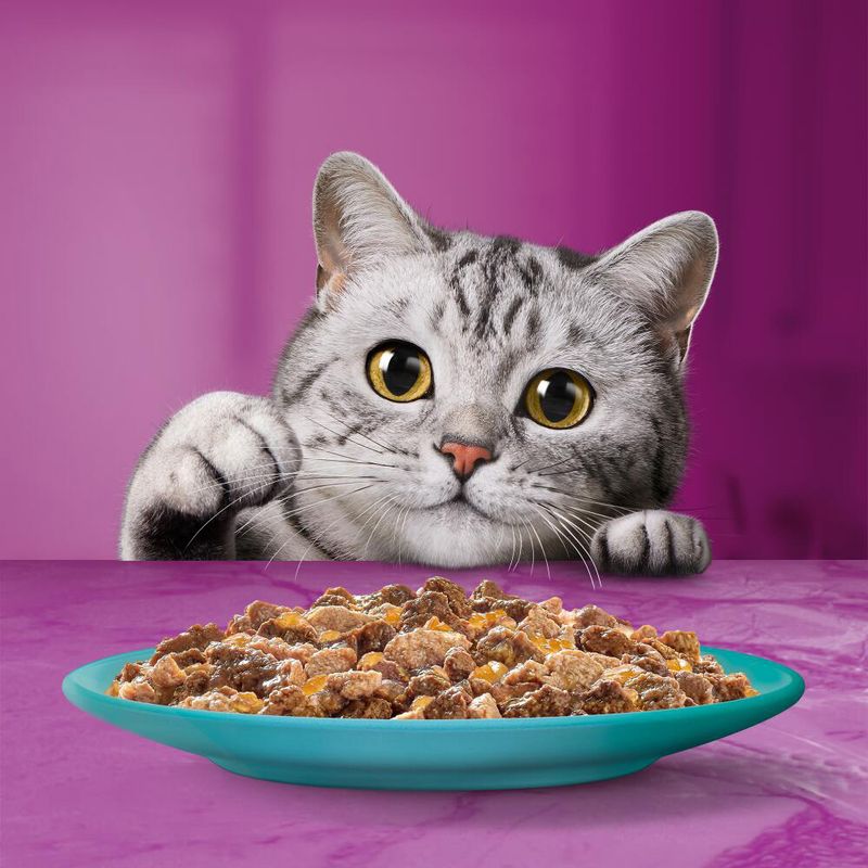 Whiskas Duo Pouches 48 x 85g Classic Combos in Jelly