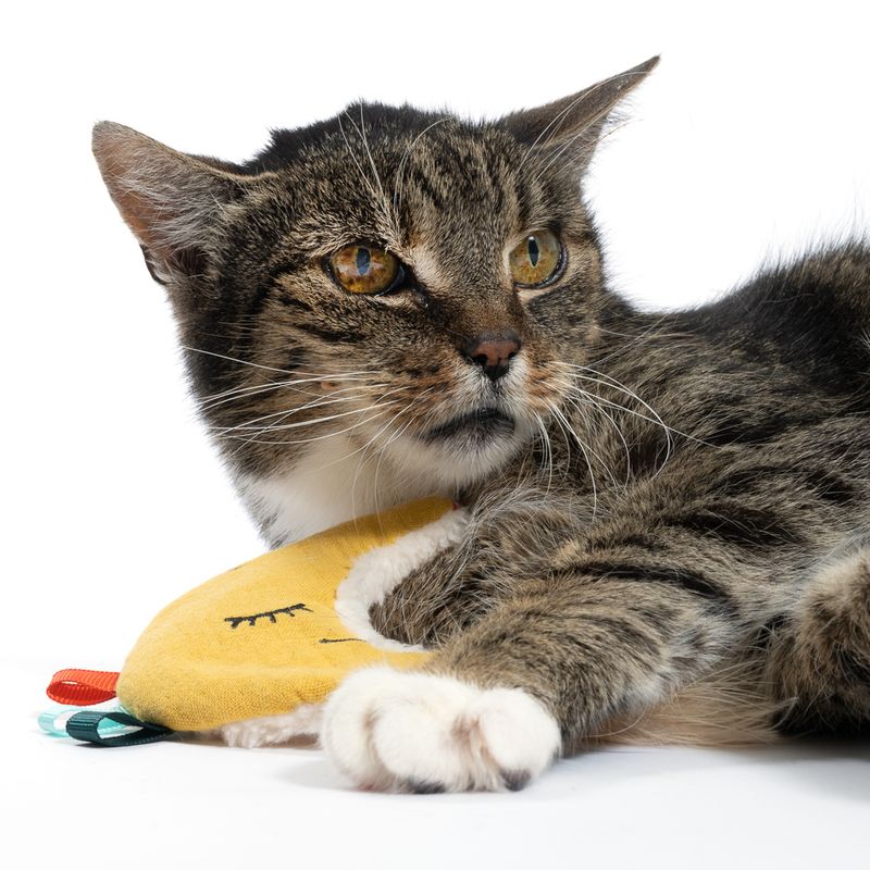 TIAKI Moon Catnip & Crinkle Cat Toy 1 Toy