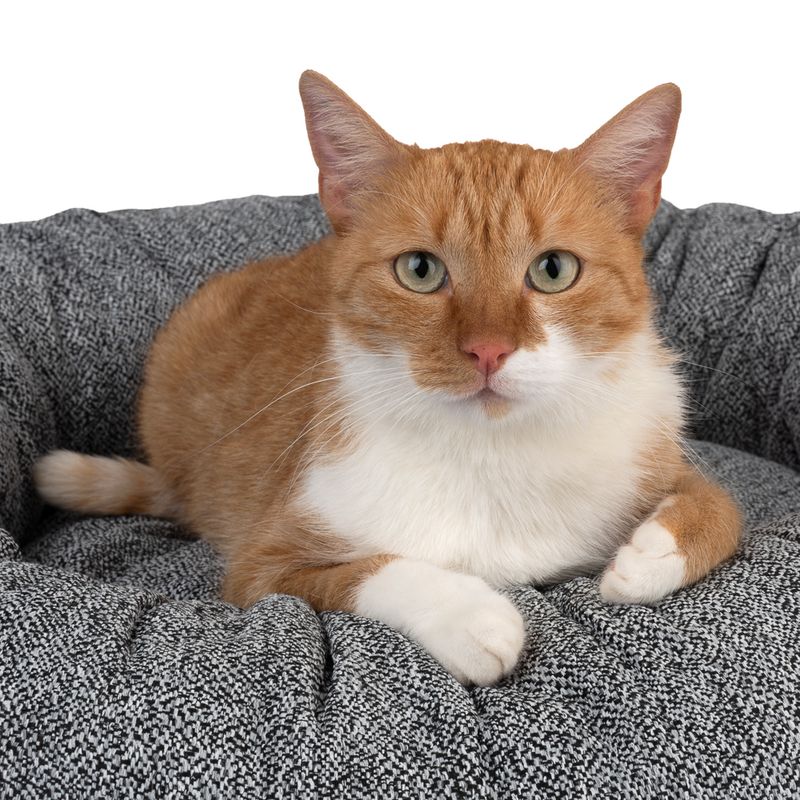 Modern Living Philadelphia Cuddle Bed approx. diameter 65 x (H) 22cm