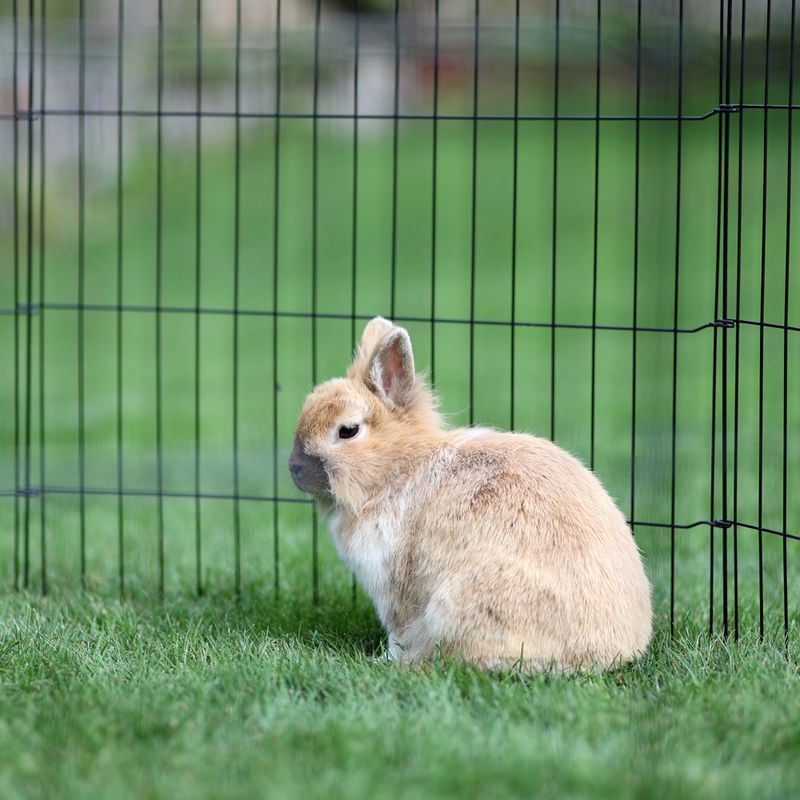 Kerbl Pet Enclosure with Door for Puppies and Small Animals 8 Elements, 57 x 78cm (W x H)