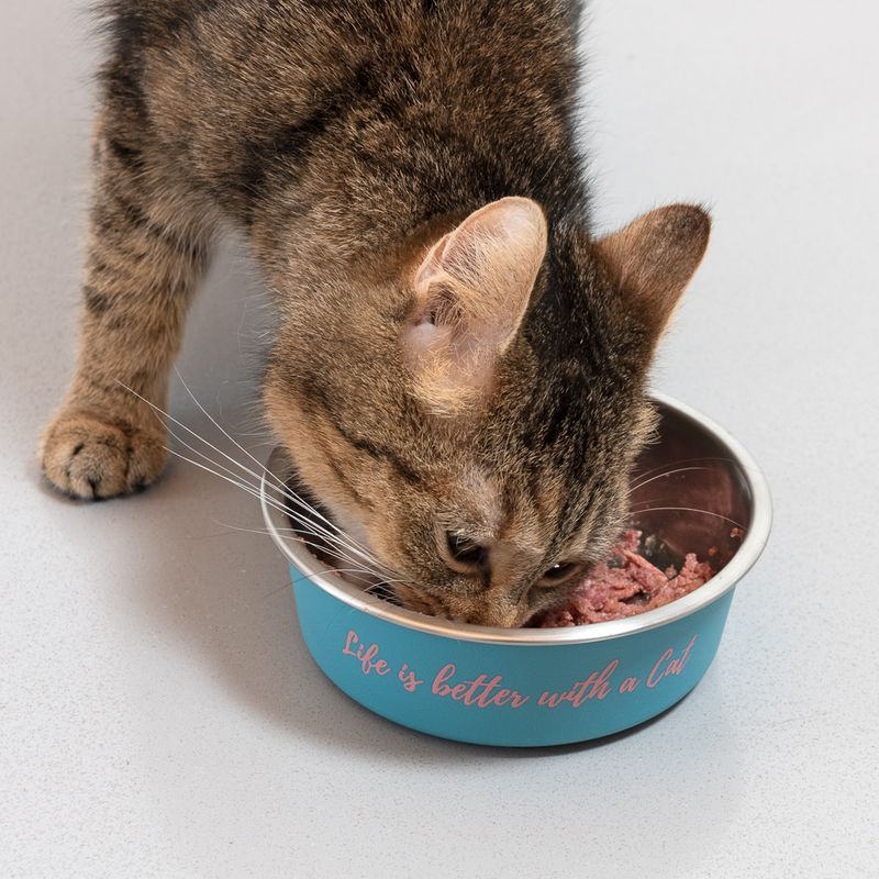 TIAKI stainless steel bowl \