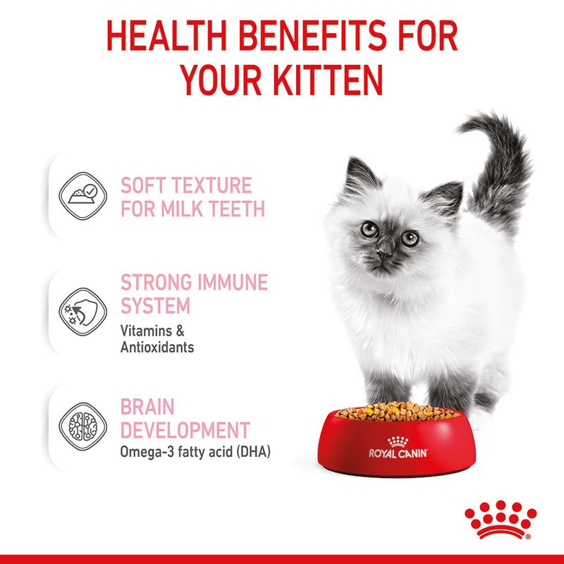 Royal Canin Kitten in Jelly 12 x 85g